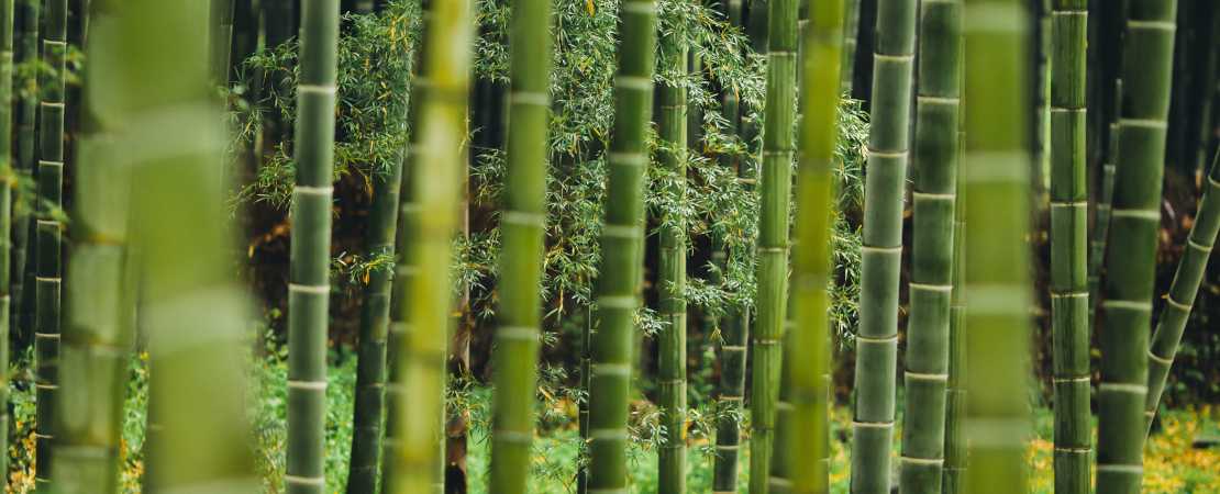 bamboo-and-bedding-4-reasons-to-go-natural