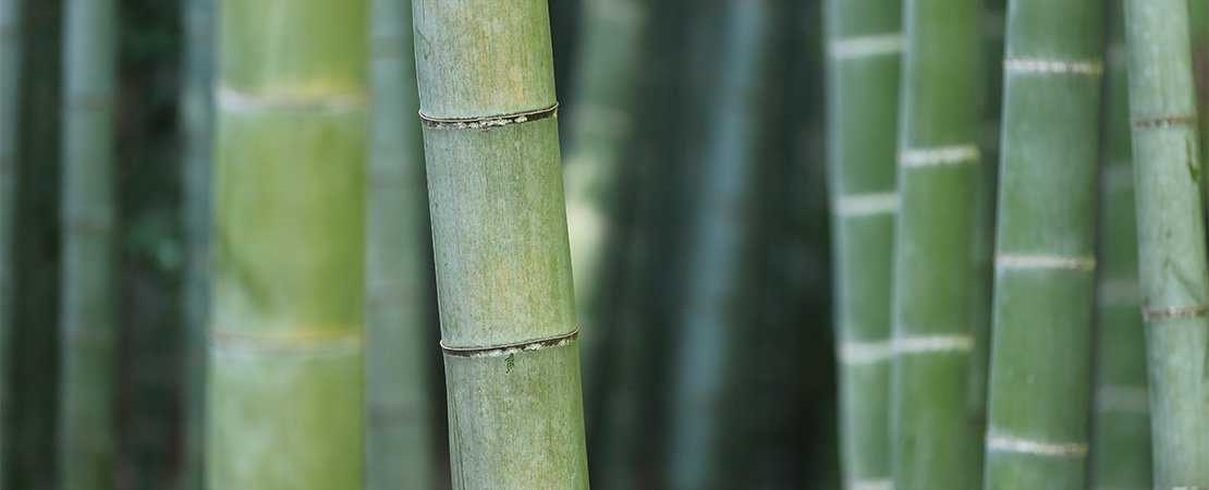 sleeping-on-a-bamboo-mattress