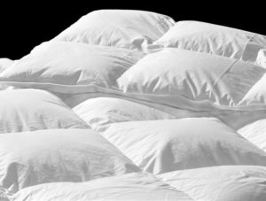 A duvets cover can be changed when necessary, giving you more versatility in your bedding 
